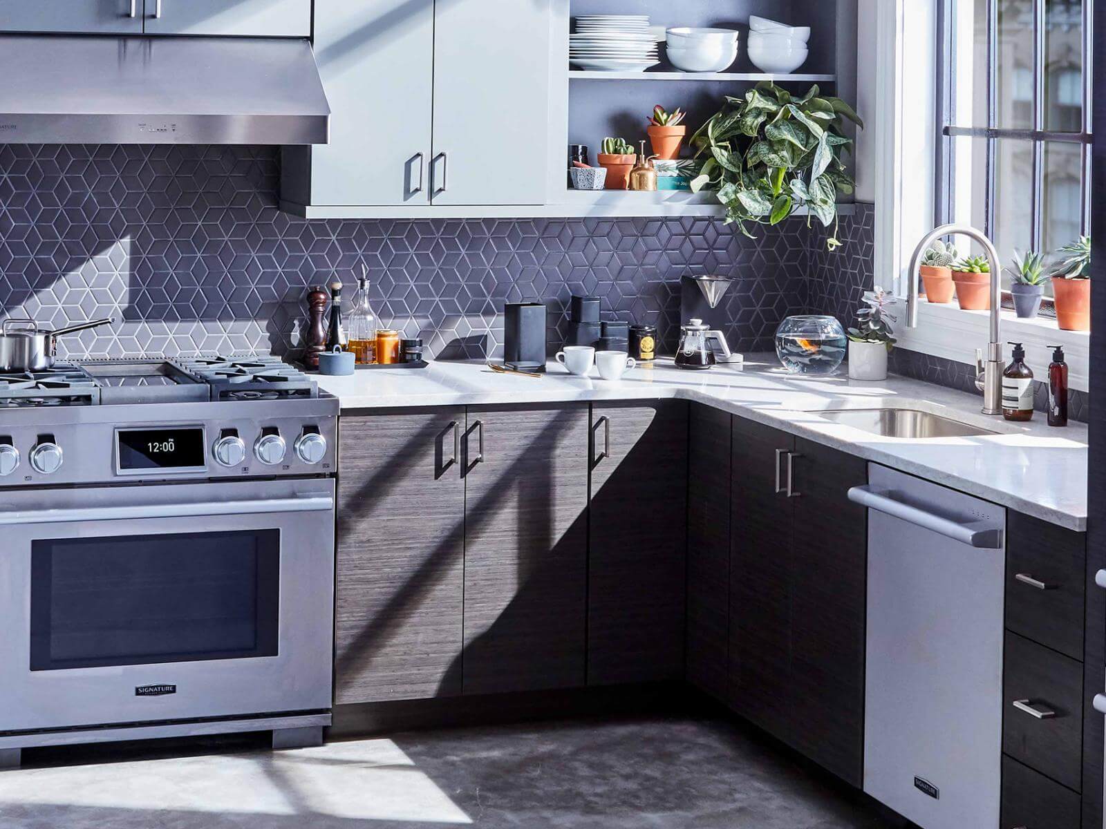36" Dual Fuel Stainless Pro Gas & Induction Range & Designer Kitchen Appliances by Signature Kitchen Suite